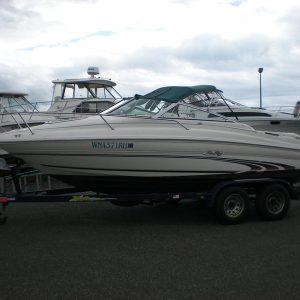 1998 Sea Ray  190